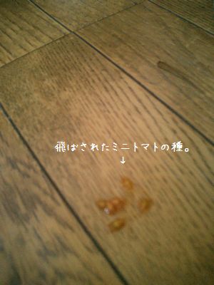 b0000885_2220325.jpg