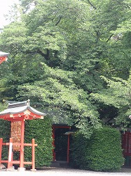 c0105785_10303270.jpg