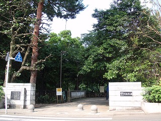 c0105785_743218.jpg