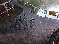 c0105785_8301041.jpg