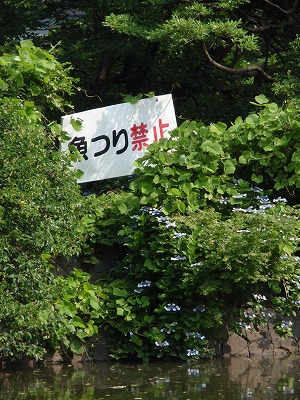 c0105785_832356.jpg