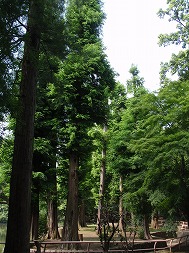 c0105785_9163391.jpg