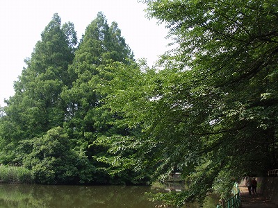 c0105785_9192616.jpg