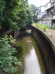 c0105785_9302279.jpg