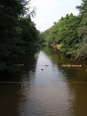 c0105785_95125.jpg