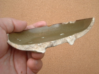 e0060485_0445254.jpg