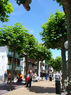 b0131786_175769.jpg
