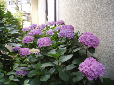 f0130894_2011977.jpg