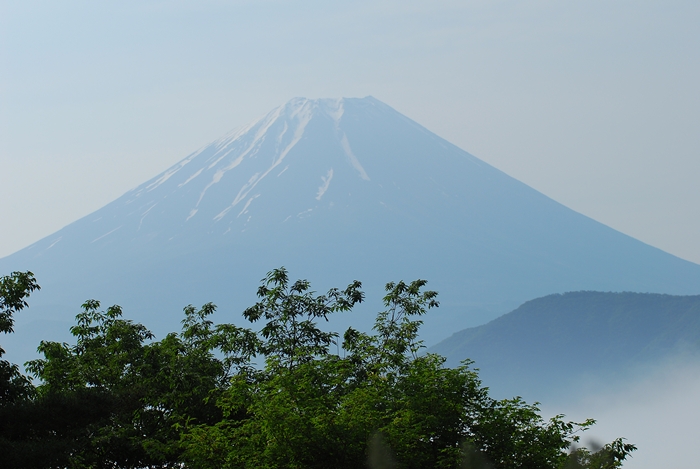 a0103596_255228.jpg