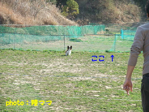 c0044199_1039078.jpg