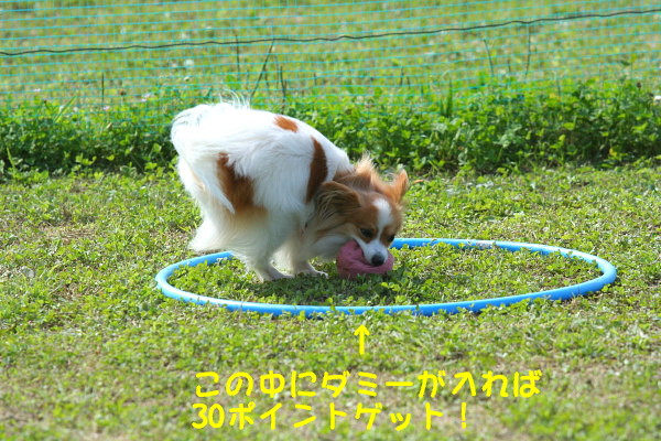 c0044199_12591231.jpg