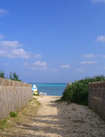 e0077899_96522.jpg