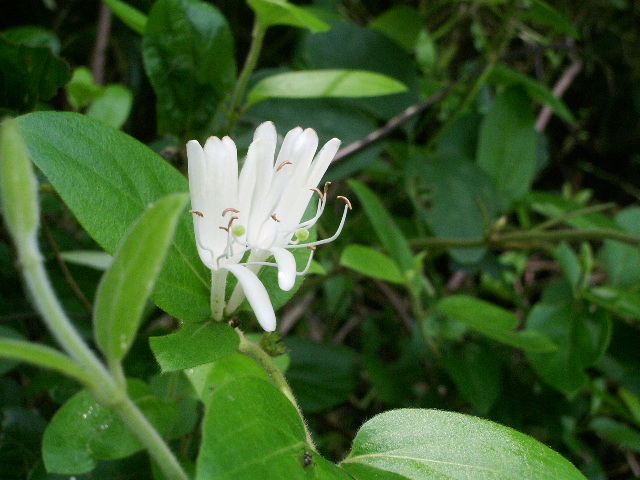 e0025300_1215821.jpg