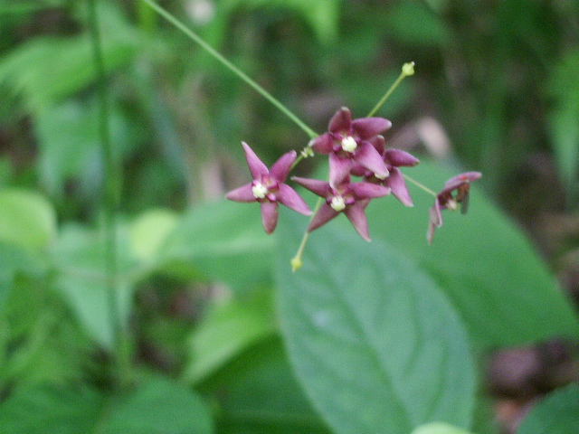 e0025300_12184213.jpg