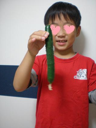 c0087305_9475069.jpg