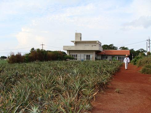 e0123808_23462744.jpg