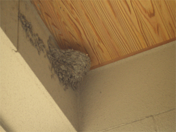 c0143711_16535537.gif