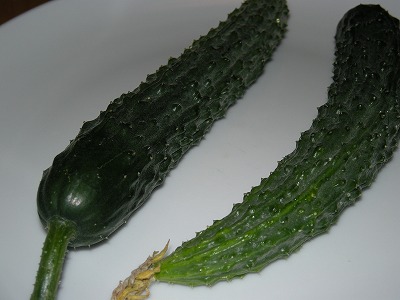 e0121512_17564098.jpg