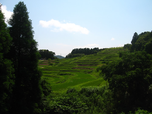 b0007619_22541394.jpg