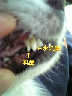 f0148927_18112712.jpg