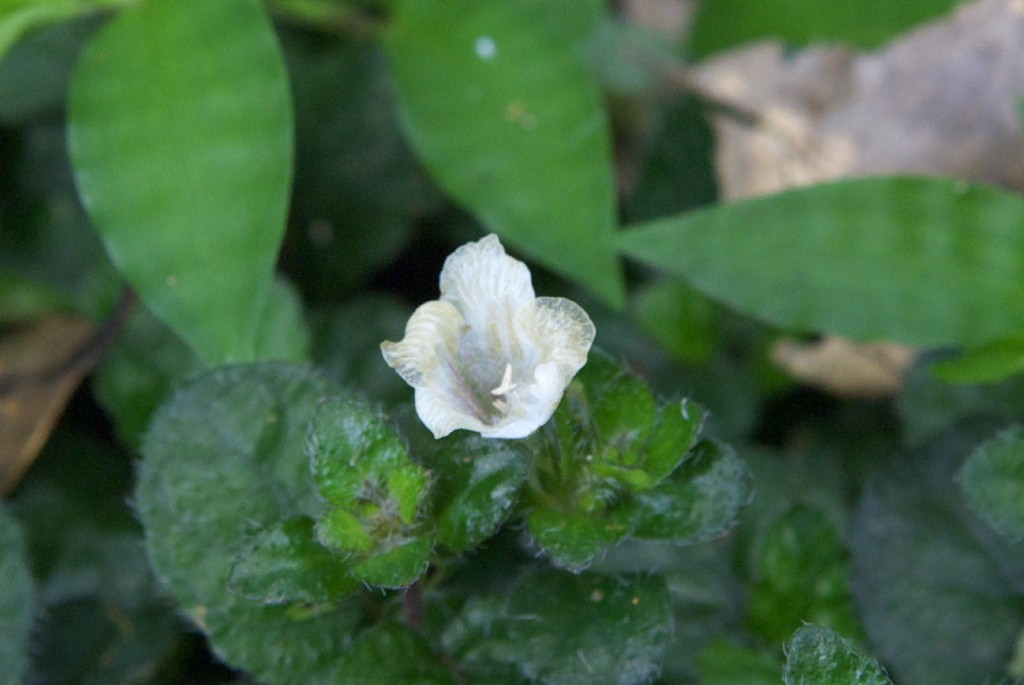 d0053930_6161648.jpg