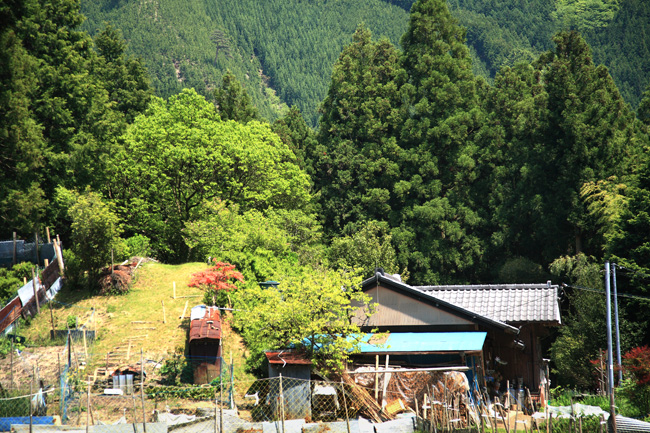 d0147530_5142122.jpg