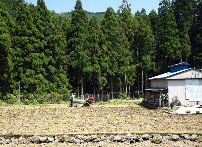 d0147530_5145451.jpg