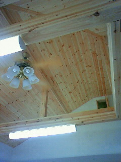 e0036931_1264489.jpg
