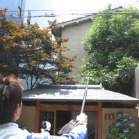 d0033734_11362784.jpg