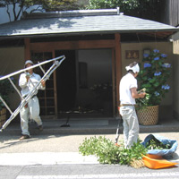 d0033734_11365145.jpg