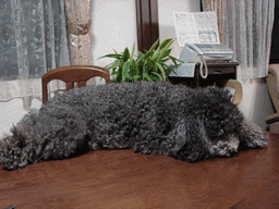 c0136736_2214203.gif