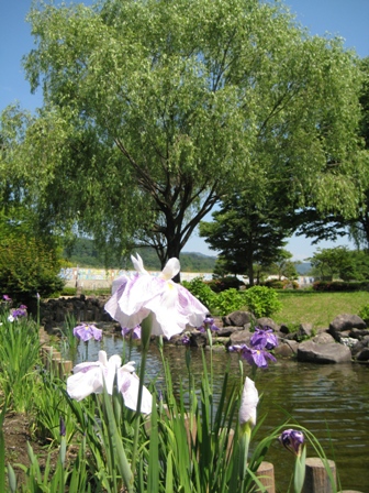 f0131939_1321473.jpg