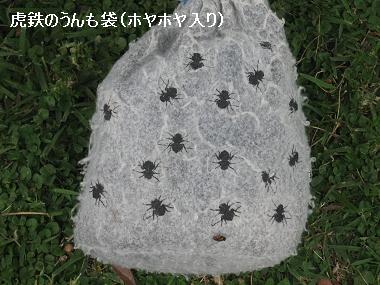 e0126046_2373378.jpg