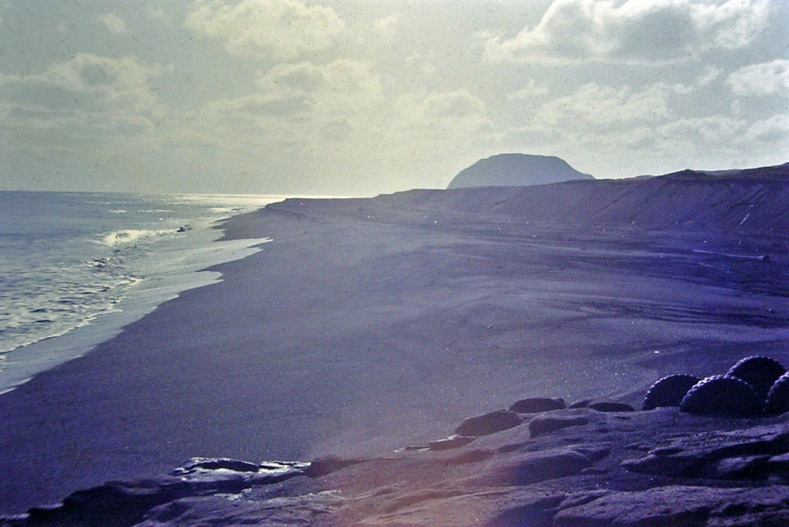 d0086747_0381654.jpg