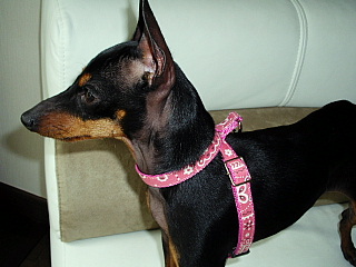 c0123149_22132422.jpg