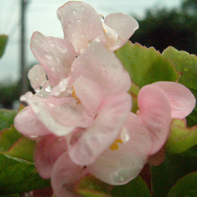 f0176353_23171017.jpg