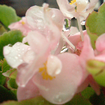 f0176353_23172637.jpg