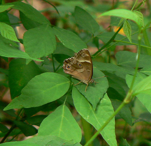 d0091754_20351654.jpg