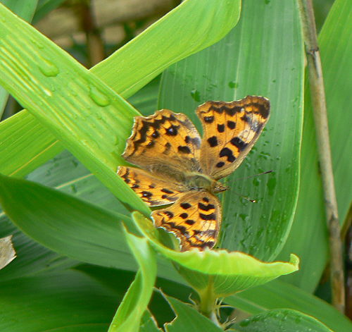 d0091754_23511428.jpg