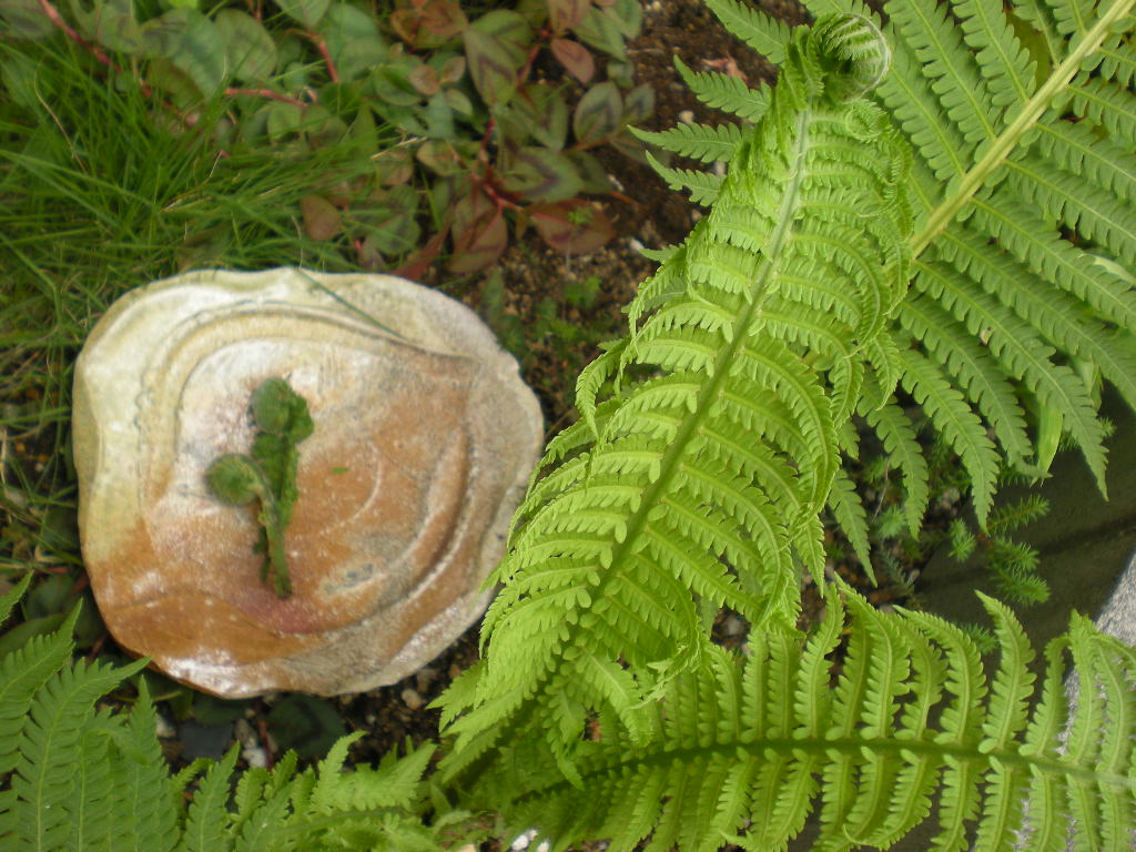 d0148555_22183820.jpg