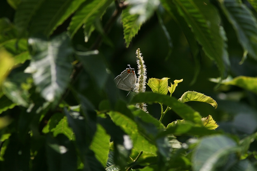 b0084270_22275923.jpg