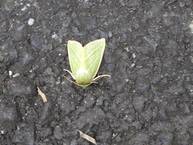 b0070071_10232533.jpg