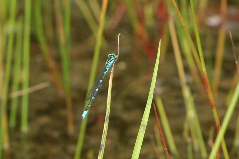 b0088772_11413465.jpg