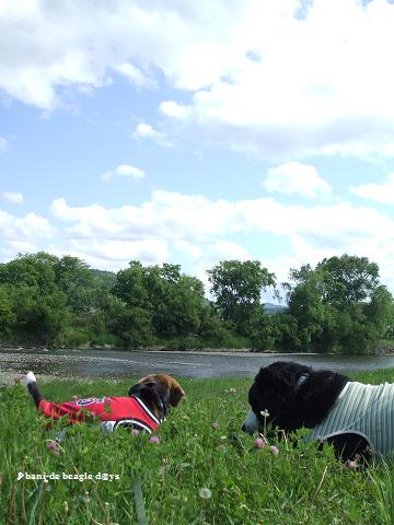 f0150377_15212762.jpg