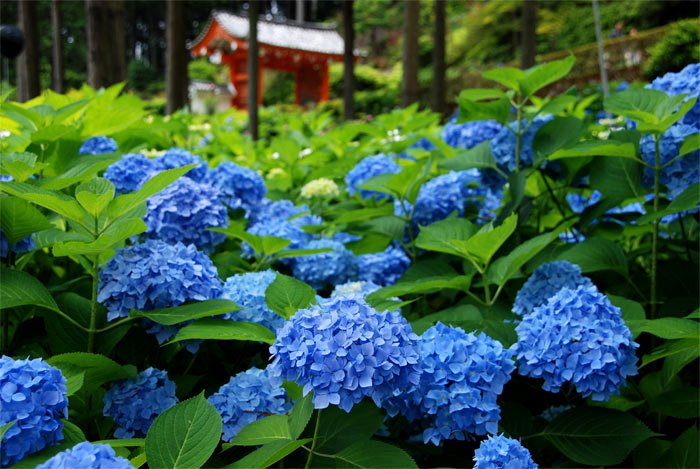 f0108478_2151181.jpg