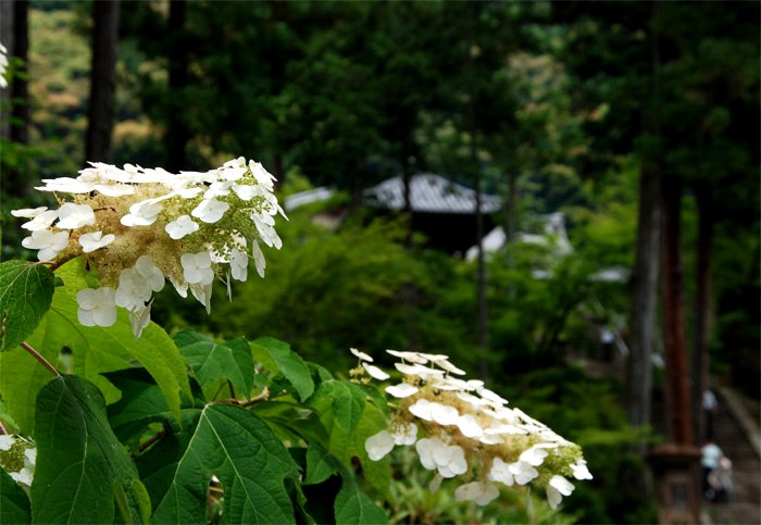 f0108478_215257.jpg