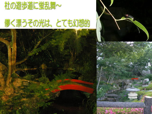 e0069481_1212193.jpg