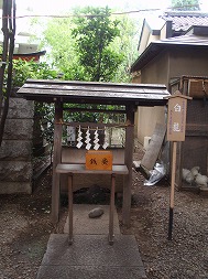 c0105785_903591.jpg