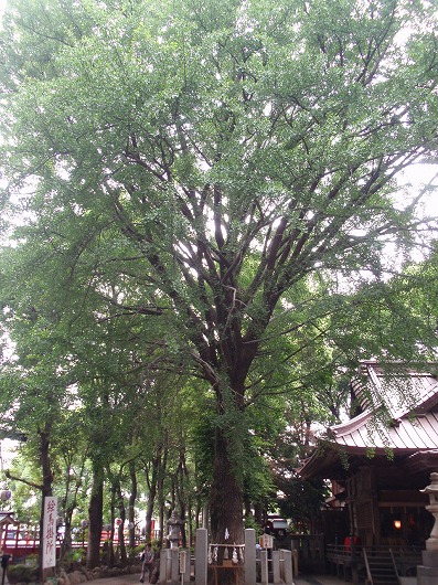 c0105785_9472325.jpg