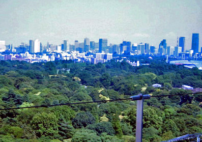 f0177785_20324024.jpg